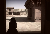 IIP Online Student Photography